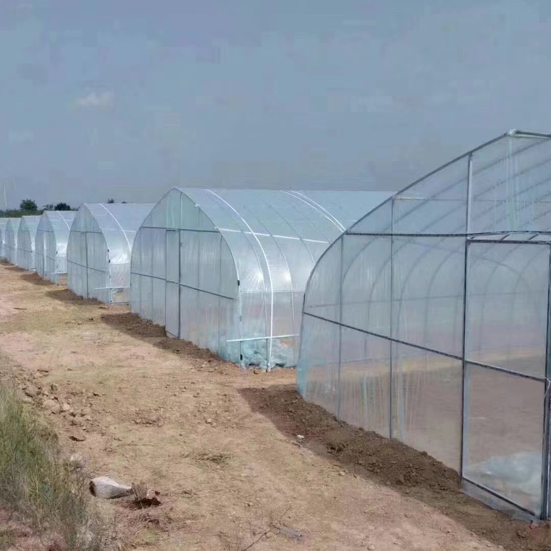 Easily Installed Agricultural Commercial Green House