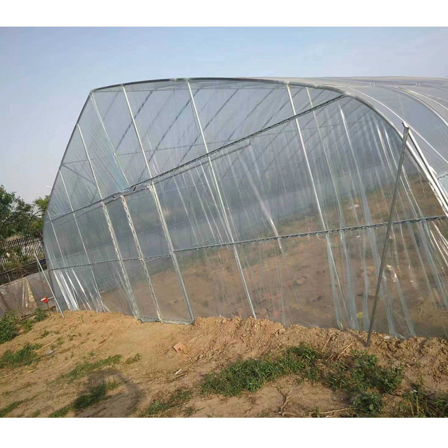 Easily Installed Agricultural Commercial Green House