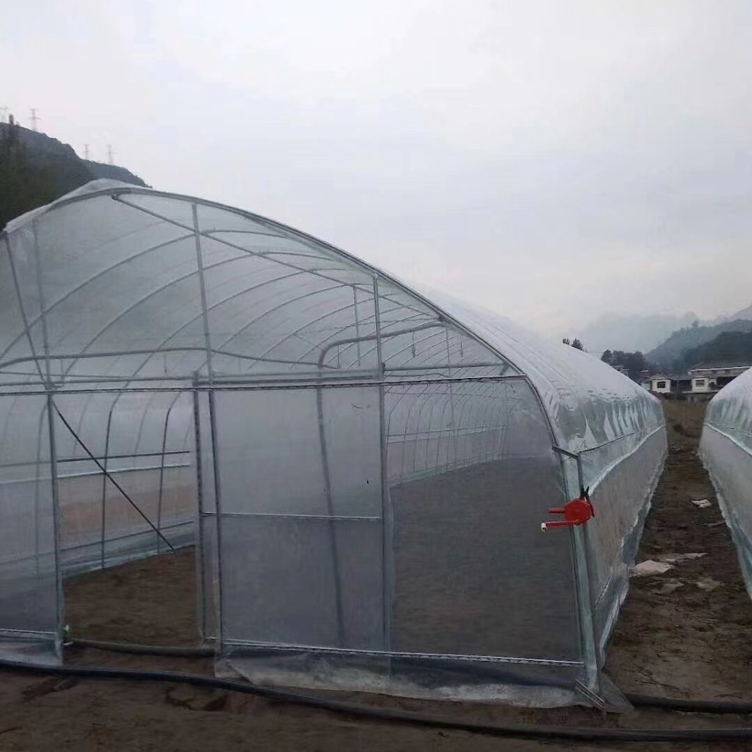 Easily Installed Agricultural Commercial Green House