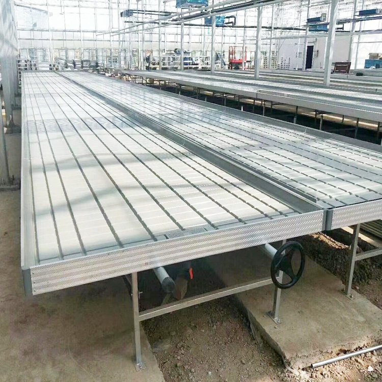 4*20feet 4*32feet 4*40feet Excellent Material Agriculture greenhouse low cost green house seedbed factory