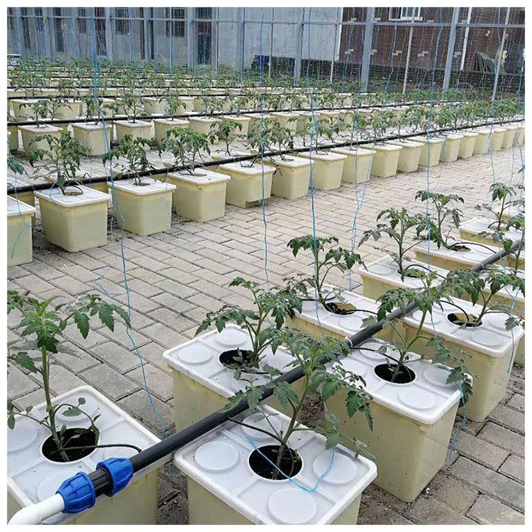 Dutch Bucket Hydroponics Growing System Cucumber Multi Span Agricultural Greenhouse