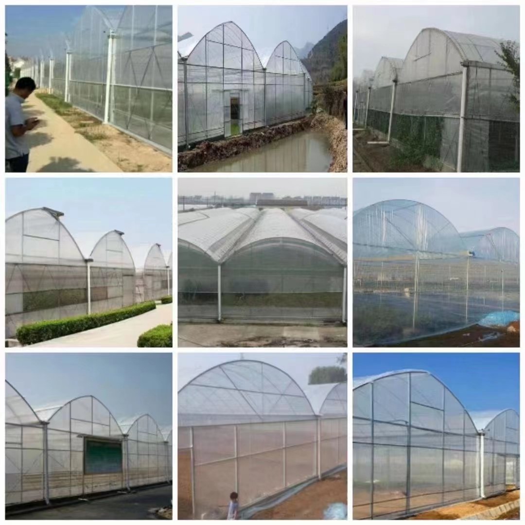 Agricultural factory Galvanized Steel Frame PE Film Greenhouse