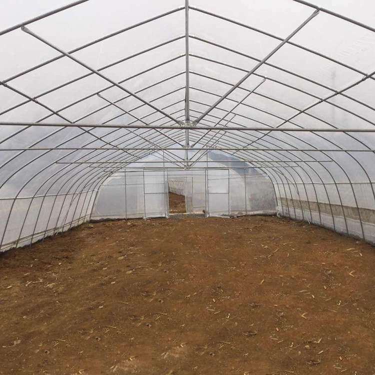Easily installed farm chicken growing high backyrad breeding single-span poultry greenhouse supplies tunnels greenhouse