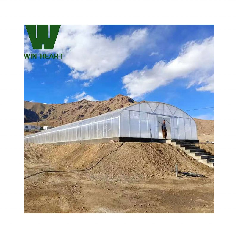Tunnel Plastic/Polycarbonate Sheet PC Greenhouses for industrial