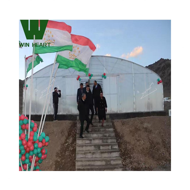Tunnel Plastic/Polycarbonate Sheet PC Greenhouses for industrial