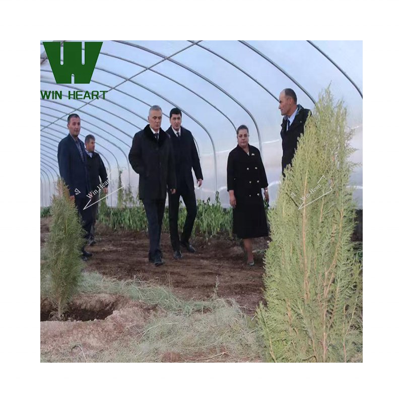 Tunnel Plastic/Polycarbonate Sheet PC Greenhouses for industrial