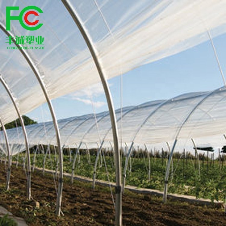 China wholesale 4 seasons single span commercial agriculture greenhouse