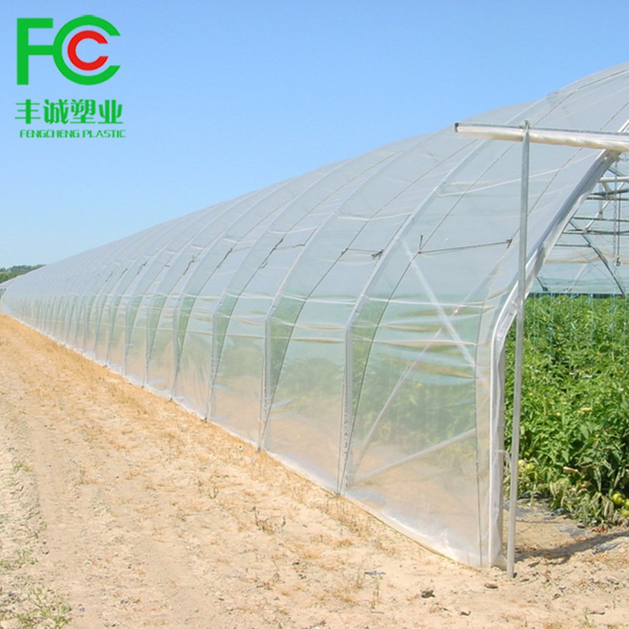 China wholesale 4 seasons single span commercial agriculture greenhouse