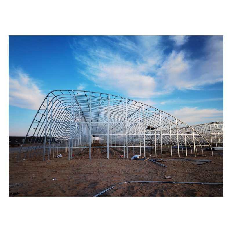 Wholesale Price Agricultural Greenhouses Heat Preservation Half Slope Heating Shed