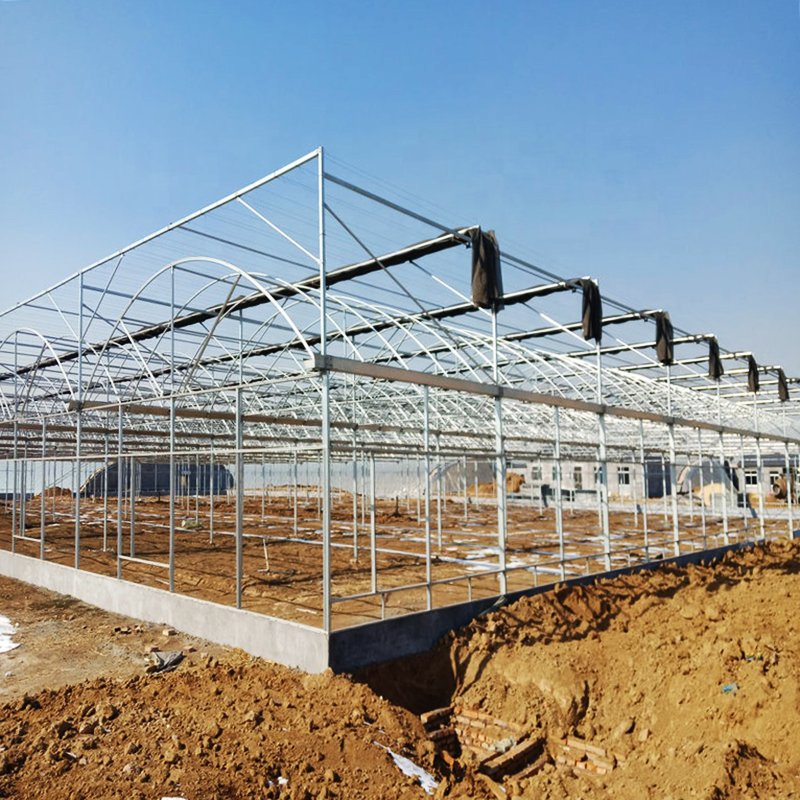 Agriculture Multi-span Greenhouse With Commercial Venlo Greenhouse Glass Greenhouse