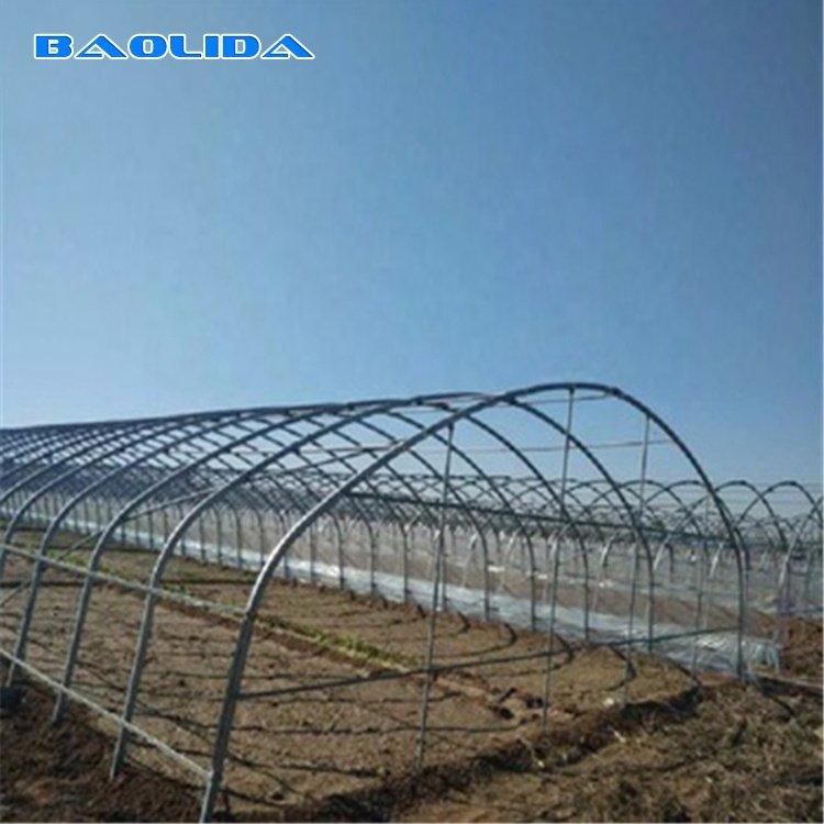 High Quality Steel Pipe Hot House Material Galvanized Frame Tunnel House Vegetable Greenhouse for Sale