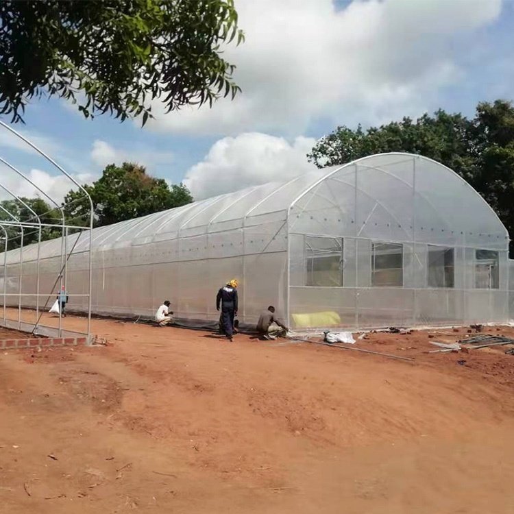 High Quality Steel Pipe Hot House Material Galvanized Frame Tunnel House Vegetable Greenhouse for Sale