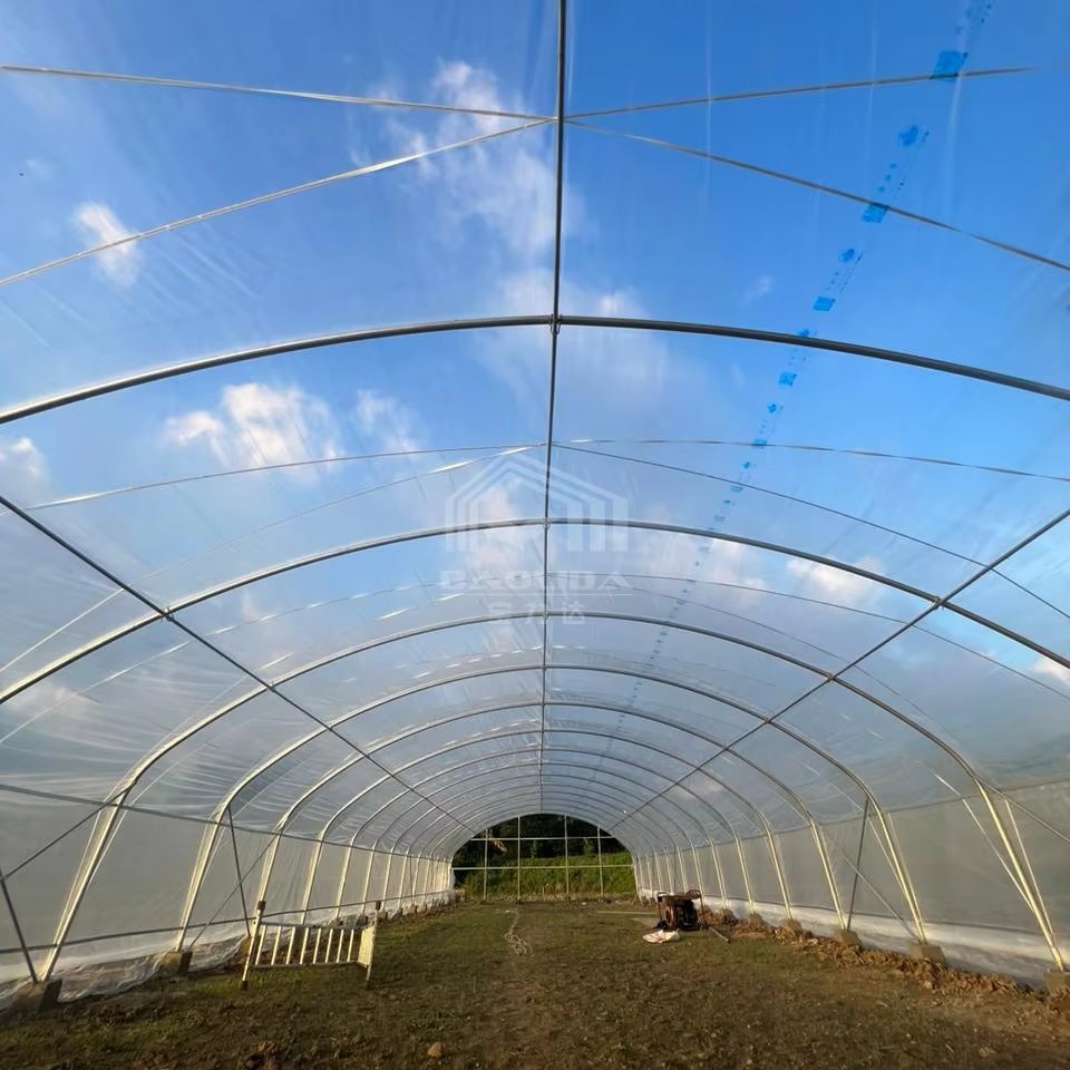 High Quality Steel Pipe Hot House Material Galvanized Frame Tunnel House Vegetable Greenhouse for Sale