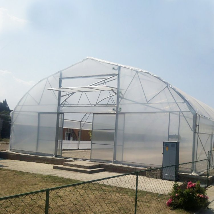 Custom 10-100m Commercial Cheap Single-span Tunnel Hoop Greenhouse Plastic Pe Film Tomato Agricultural Greenhouse