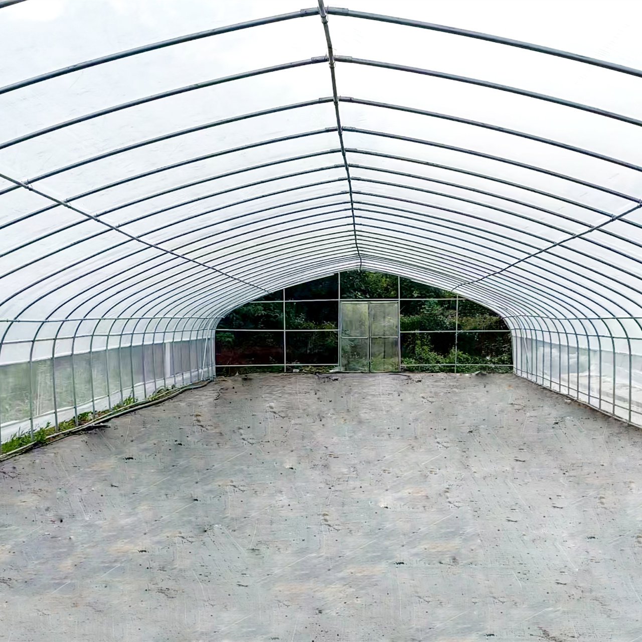 Custom 10-100m Commercial Cheap Single-span Tunnel Hoop Greenhouse Plastic Pe Film Tomato Agricultural Greenhouse
