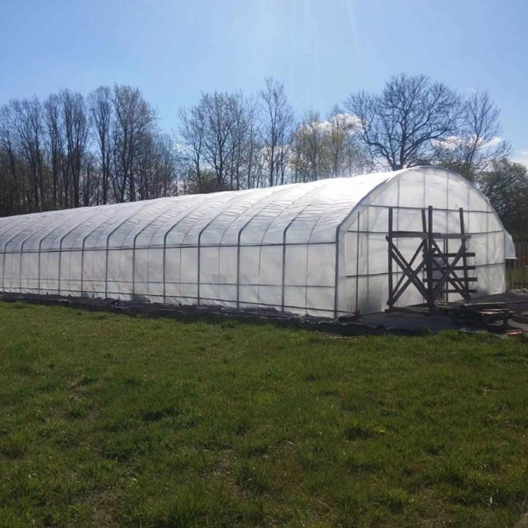low cost plastic poly film tunnel grow vegetable greenhouse frame single-span high tunnel agriculture greenhouse for sale