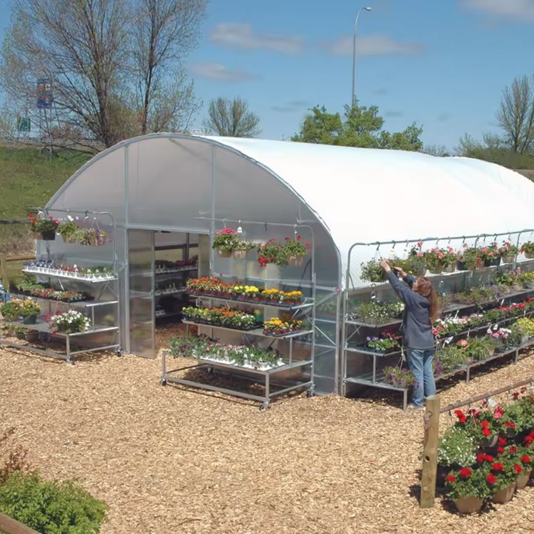 low cost plastic poly film tunnel grow vegetable greenhouse frame single-span high tunnel agriculture greenhouse for sale