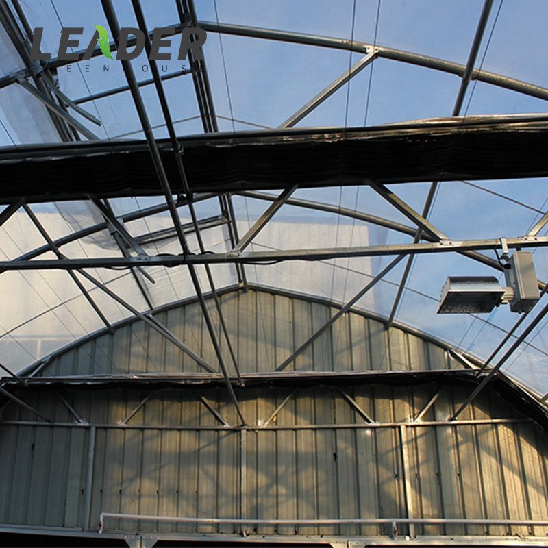 Brand New Automated High Tunnel Blackout Light Deprivation Hemp Mushroom Growing Customized Greenhouse