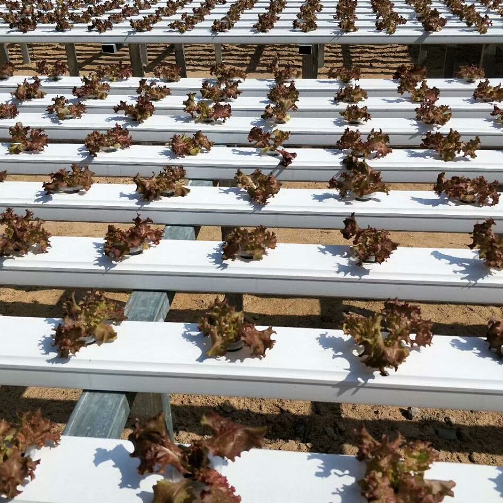 Greenhouse Commercial Plant Greenhouse Grow Systems Agricultural Hydroponics Pipe Equipment 100*50mm Removable lid Nft Channel