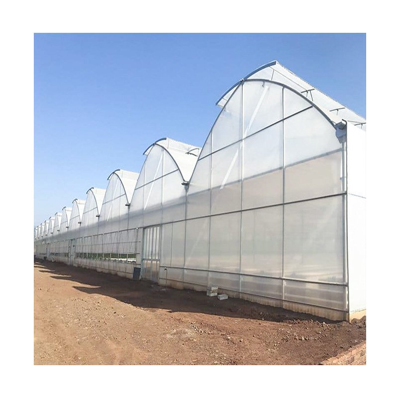 Factory Outlet Multi-Span High Tunnel Plastic Film Greenhouse Tomatoes Hydroponics Agricultural Greenhouses