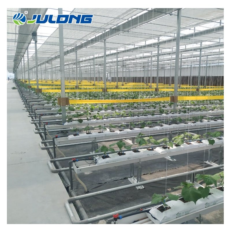 Factory Outlet Multi-Span High Tunnel Plastic Film Greenhouse Tomatoes Hydroponics Agricultural Greenhouses