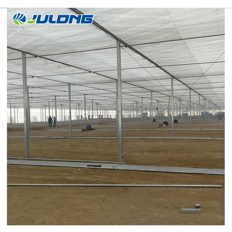 Factory Outlet Multi-Span High Tunnel Plastic Film Greenhouse Tomatoes Hydroponics Agricultural Greenhouses