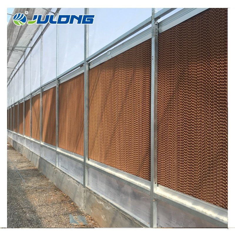 Factory Outlet Multi-Span High Tunnel Plastic Film Greenhouse Tomatoes Hydroponics Agricultural Greenhouses