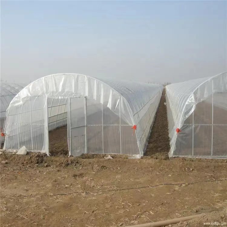 Single Span Hydroponic Greenhouses Agriculture Low-Cost Plant Tunnel Large Small Sizes Featuring Steel PE Metal Plastic Film