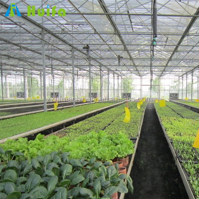 Wholesale Greenhouse Rolling Benches Seed Nursery Bed Agricultural Greenhouse Equipment