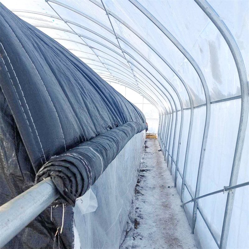 Energy Saving Automated Warm Quilt Double Layer High Tunnel Passive Solar Greenhouse For Strawberry Growing