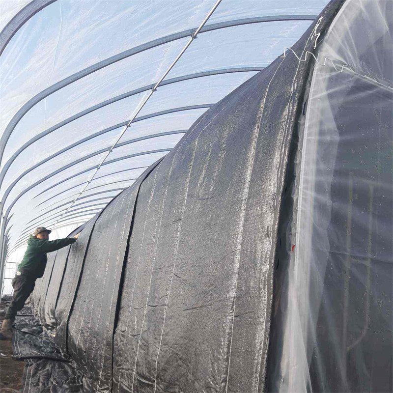 Energy Saving Automated Warm Quilt Double Layer High Tunnel Passive Solar Greenhouse For Strawberry Growing