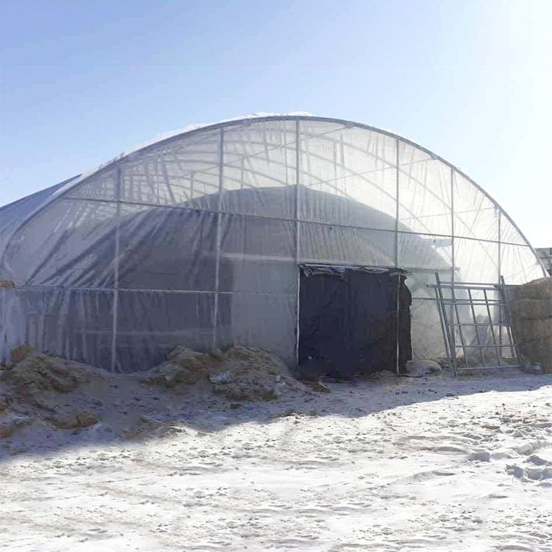 Energy Saving Automated Warm Quilt Double Layer High Tunnel Passive Solar Greenhouse For Strawberry Growing