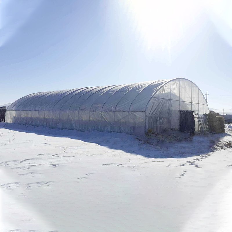 Energy Saving Automated Warm Quilt Double Layer High Tunnel Passive Solar Greenhouse For Strawberry Growing