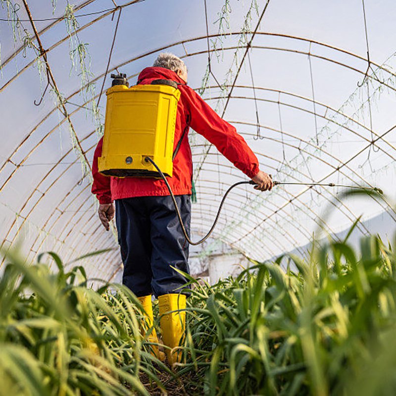 Single-Span Type Agricultural Greenhouses Easily Assembled Tunnel Greenhouses