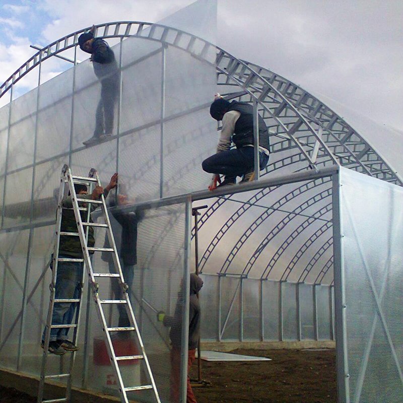 Single-Span Type Agricultural Greenhouses Easily Assembled Tunnel Greenhouses