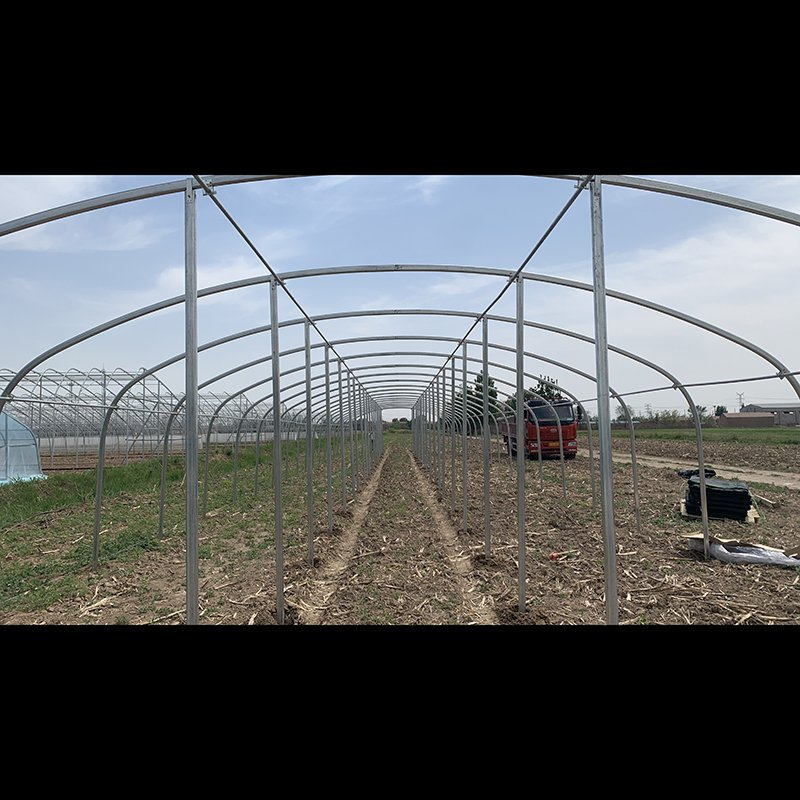 Single-Span Type Agricultural Greenhouses Easily Assembled Tunnel Greenhouses