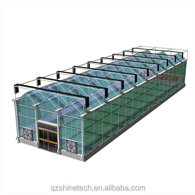 Large Agriculture Greenhouse with Galvanized Steel Frame and Glass Covering Greenhouse Turnkey Project
