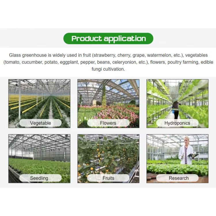 Large Agriculture Greenhouse with Galvanized Steel Frame and Glass Covering Greenhouse Turnkey Project