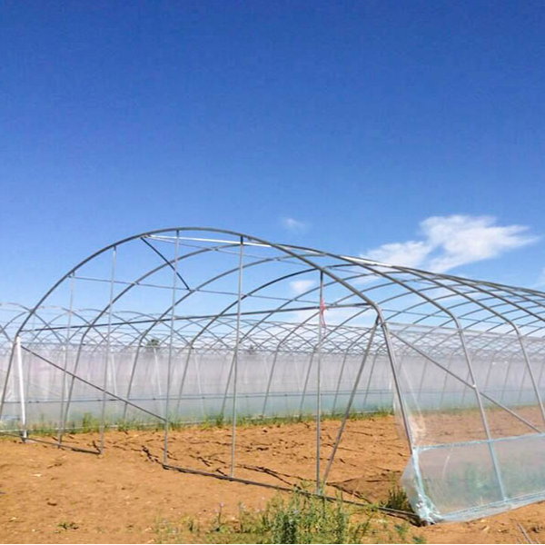 Good Quality And Easily Installed Agricultural/Commercial Green House Greenhouse