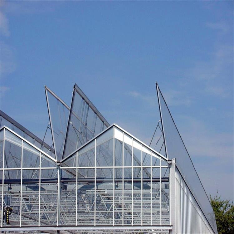 Hydroponic Venlo PC Polycarbonate Energy Drive Photovoltaic Panel Solar Greenhouse, Glass Greenhouse