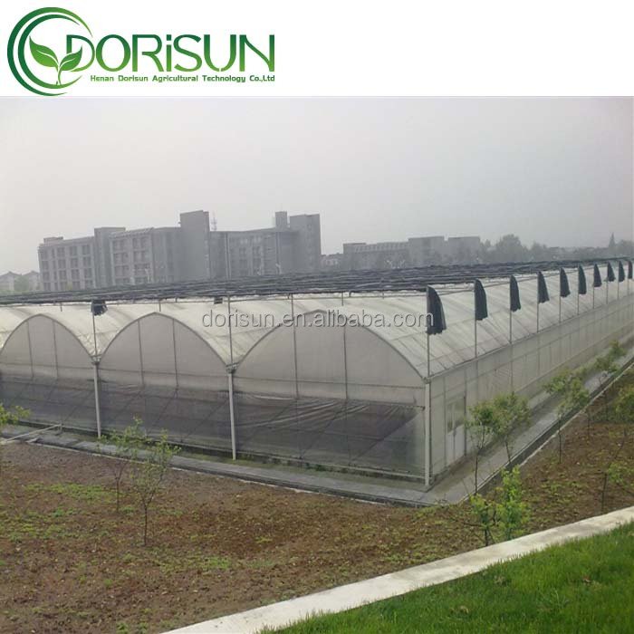 Frame Outdoor Film Galvanized Steel Agriculture Greenhouse Manufacture Economic Large Span Tunnel Plastic Greenhouse