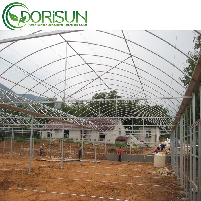 Frame Outdoor Film Galvanized Steel Agriculture Greenhouse Manufacture Economic Large Span Tunnel Plastic Greenhouse