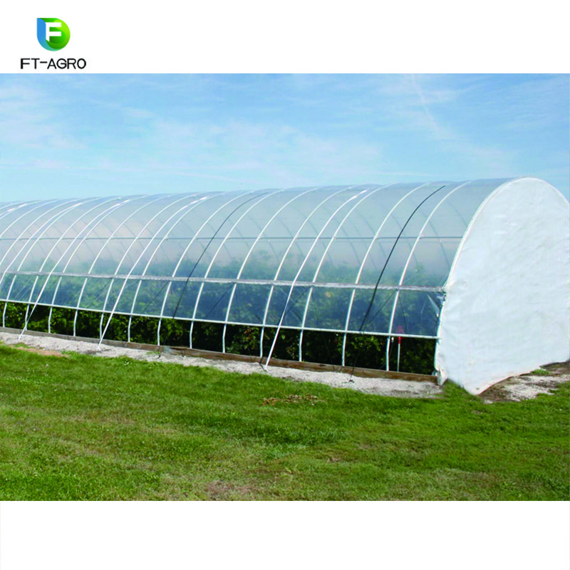 Hot sale single span plastic film Agricultural Greenhouses