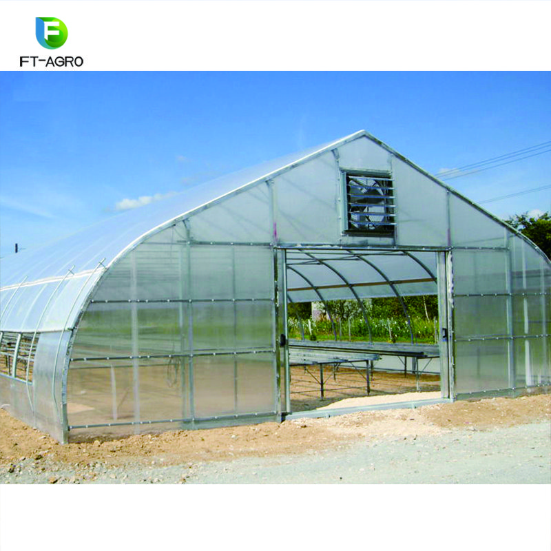 Hot sale single span plastic film Agricultural Greenhouses