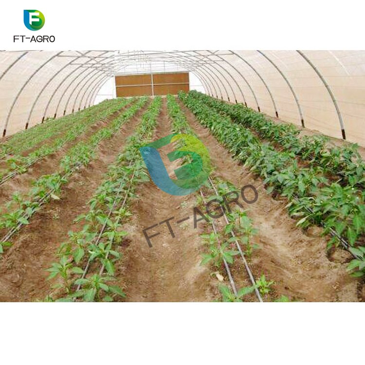 Hot sale single span plastic film Agricultural Greenhouses