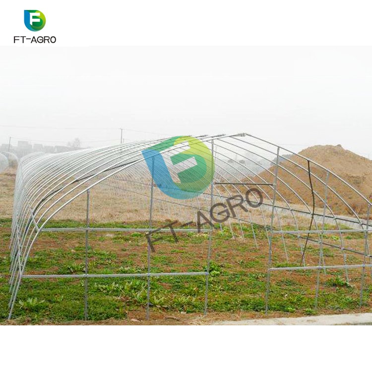 Hot sale single span plastic film Agricultural Greenhouses
