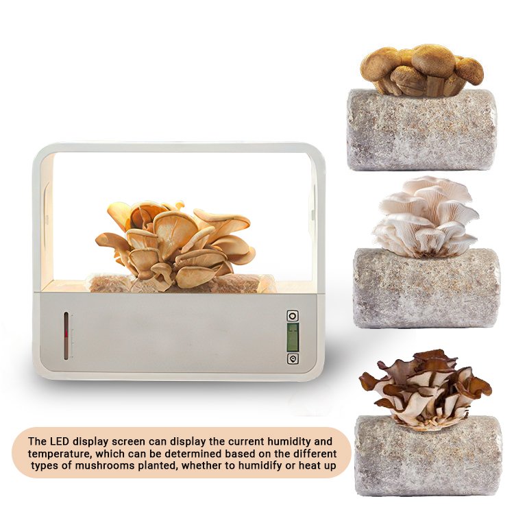 Factory Price Greenhouse Equipment Portable Growth grow case Air Box Mushroom Grow Box Kit