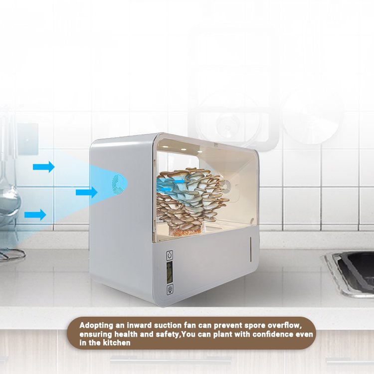 Factory Price Greenhouse Equipment Portable Growth grow case Air Box Mushroom Grow Box Kit