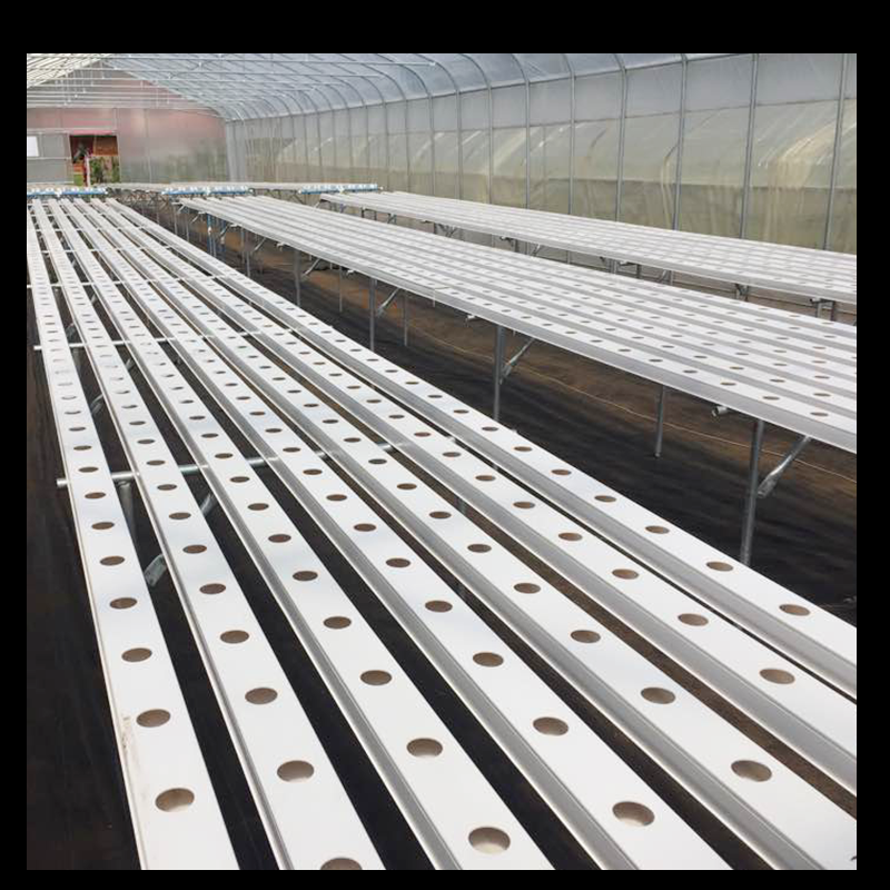 Lyine Hydroponics NFT System Manufacturer Square PVC Tube for Leafy green in Greenhouse System