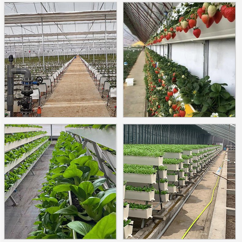 Hydroponic Greenhouses Commercial Strawberry Planting Gutter Greenhouse PVC strawberry trough Hydroponic Growing Tray